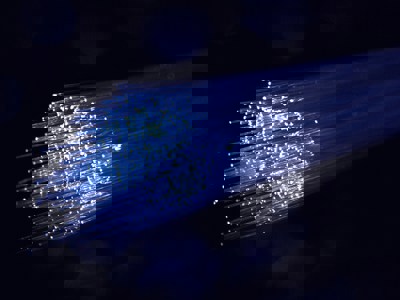 Fiber