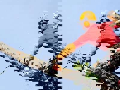 Istock 495004763